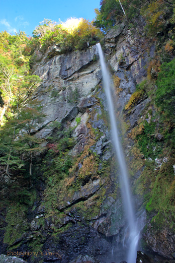 e0083238_22472657.jpg