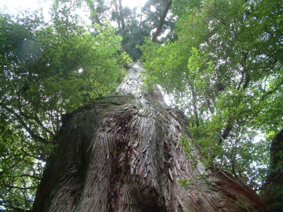 b0024339_14311942.jpg