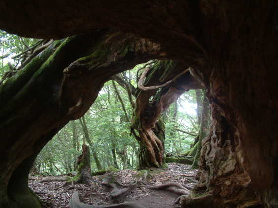 b0024339_1432938.jpg