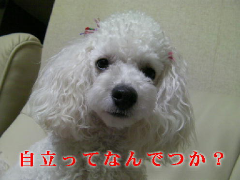 c0117239_1447726.jpg