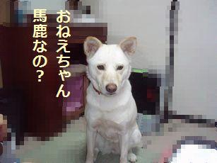 f0195543_2227881.jpg