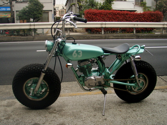 Animal honda #6