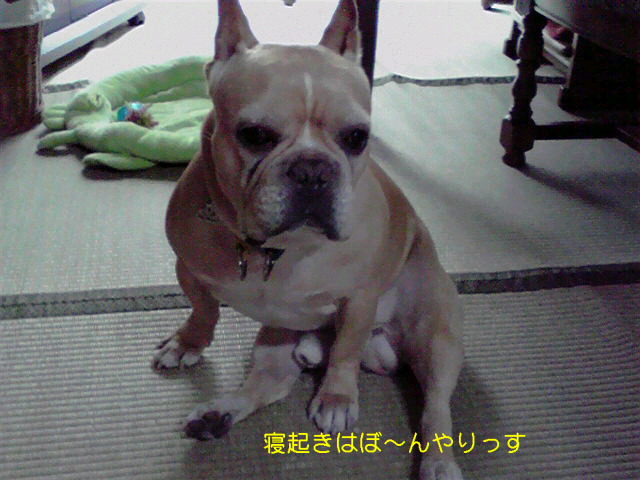 f0090344_22203081.jpg