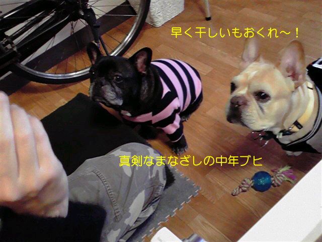 f0090344_22203092.jpg