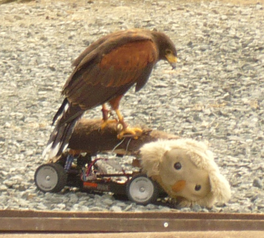 c0185657_145864.jpg