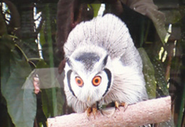 c0185657_164531.jpg