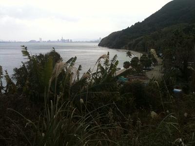 f0201157_226553.jpg