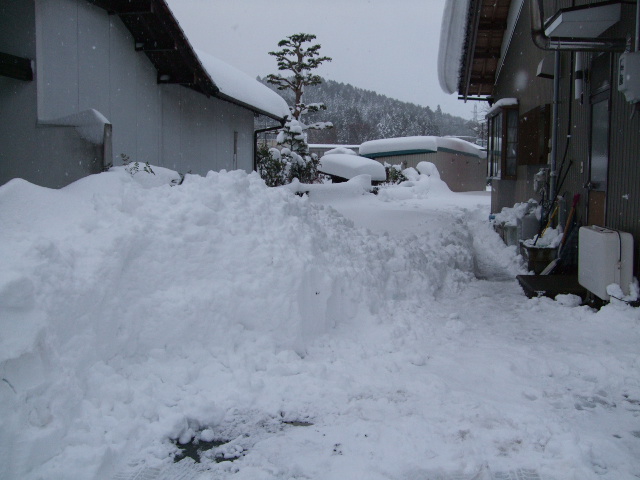 f0203260_2324987.jpg