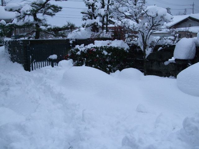 f0203260_2339771.jpg