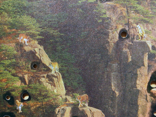 c0048265_17514476.jpg