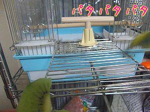 f0196665_031961.jpg