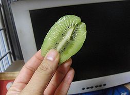 f0196665_0333289.jpg