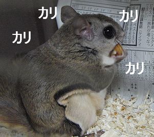 f0196665_0405079.jpg