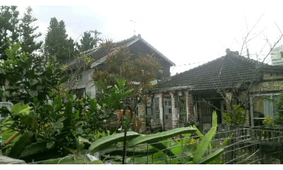 f0061067_2336663.jpg
