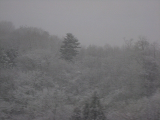 e0160568_15344093.jpg