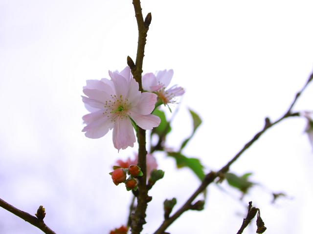 e0188677_16353234.jpg