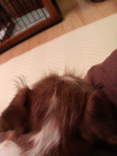 b0092580_22514672.jpg