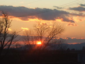f0005081_2130173.jpg