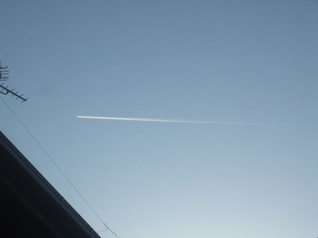 f0005081_2133288.jpg