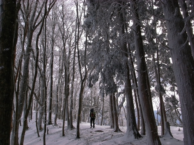 e0129083_20231674.jpg