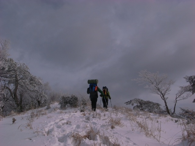 e0129083_20312420.jpg