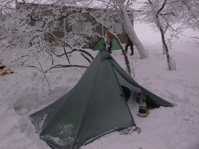 e0129083_21101265.jpg
