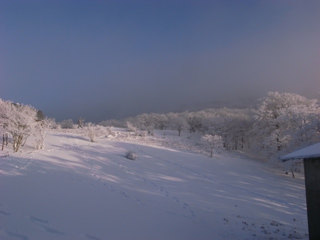 e0129083_2261385.jpg