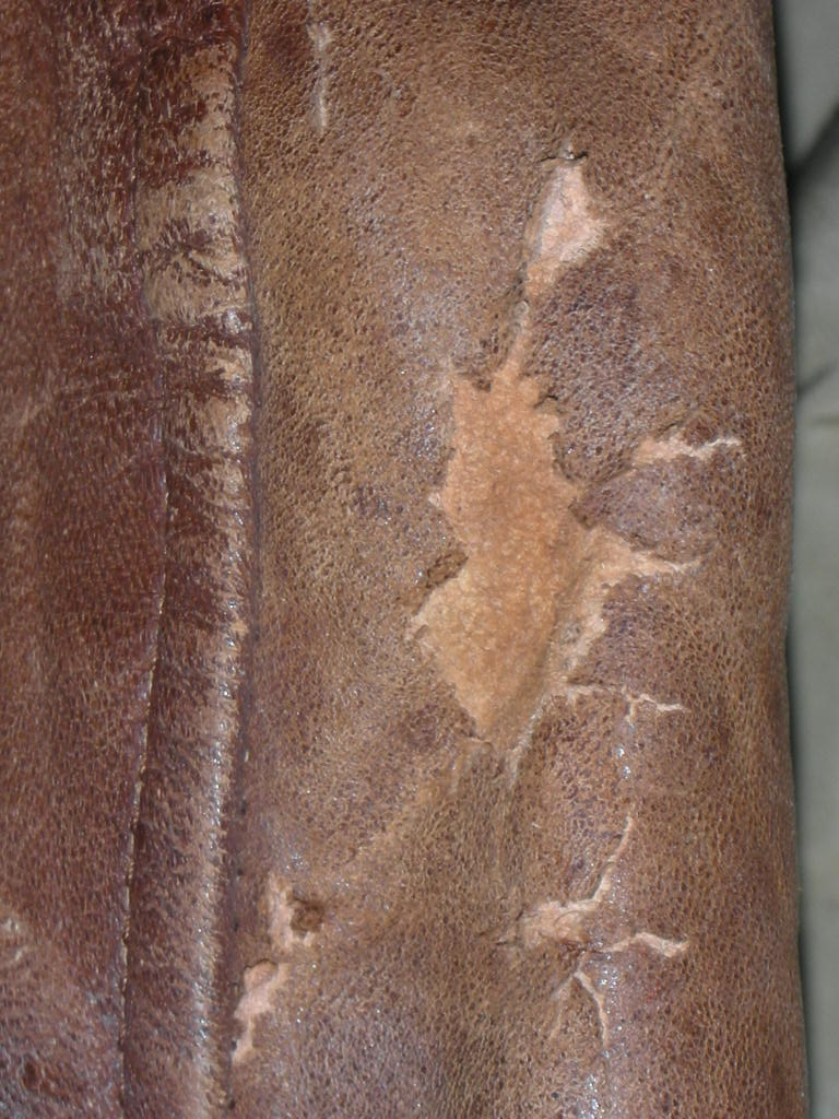 c0187684_16475294.jpg