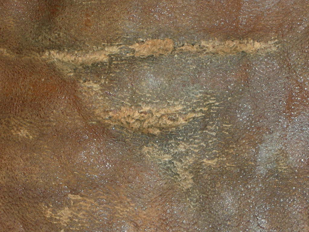 c0187684_16494027.jpg