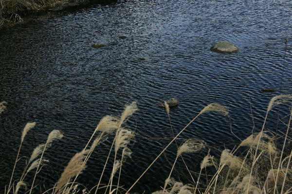 b0171185_207534.jpg