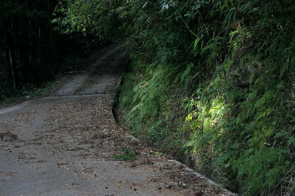 b0171185_2084047.jpg