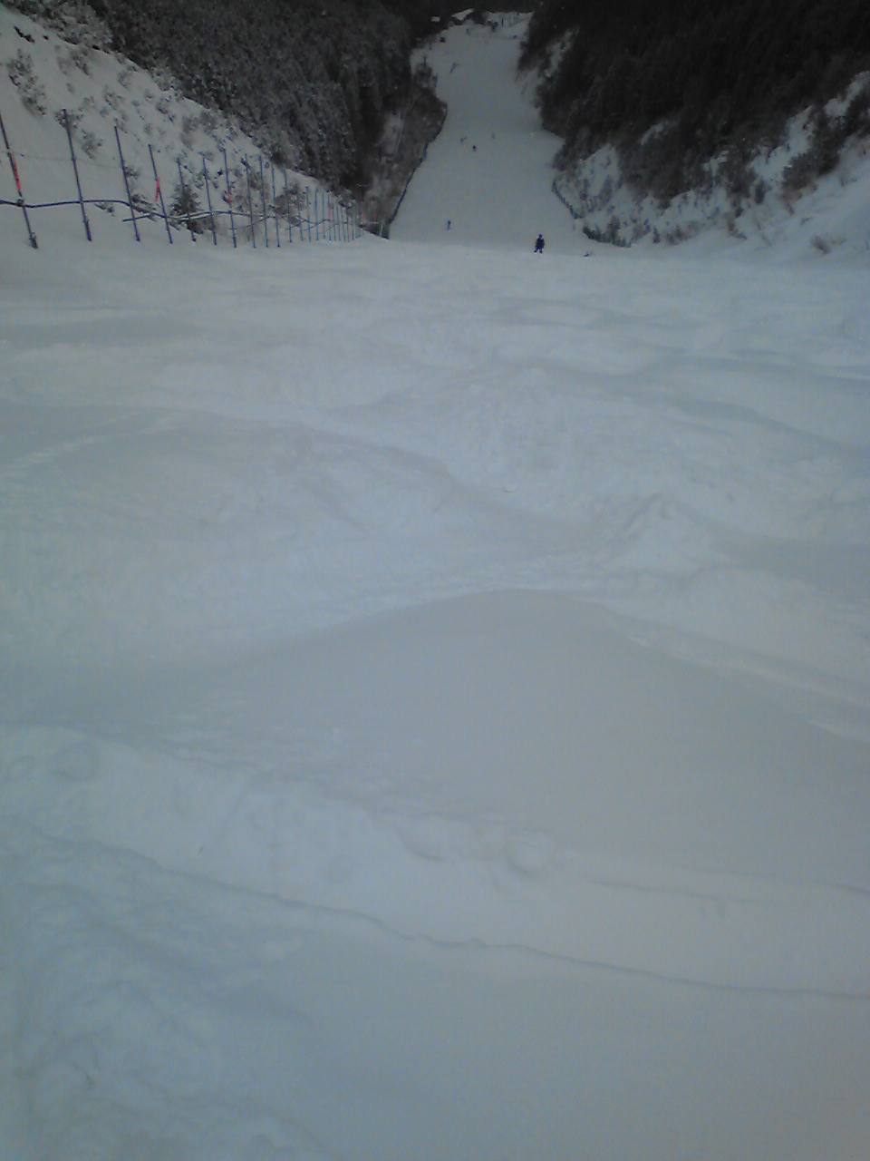 e0070286_20232082.jpg