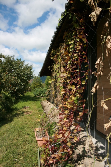 e0030488_13591442.jpg