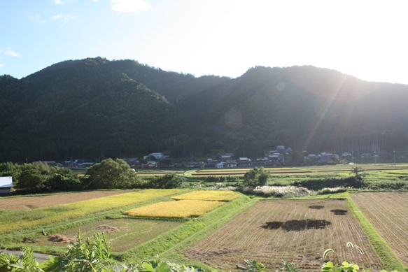 e0030488_1402652.jpg