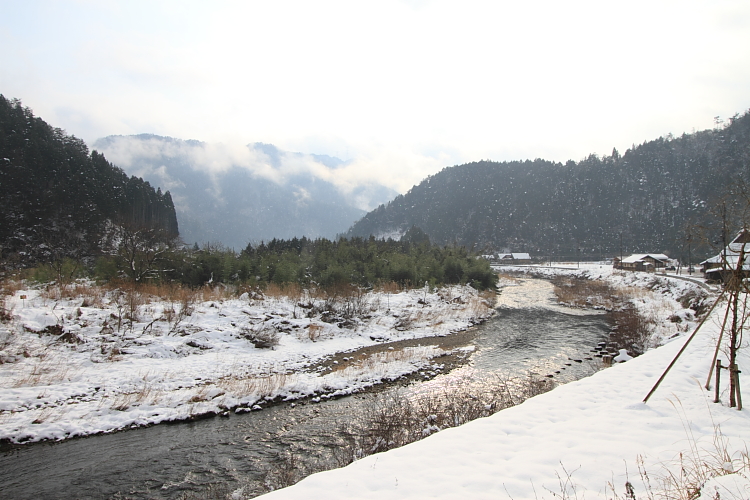 e0051888_1554389.jpg