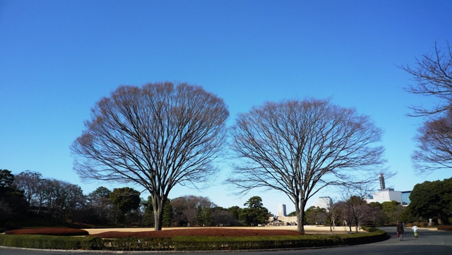 a0127090_2130066.jpg