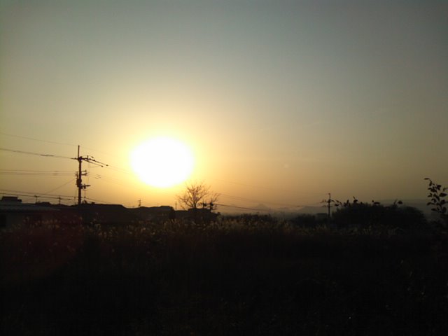 f0077595_1715475.jpg