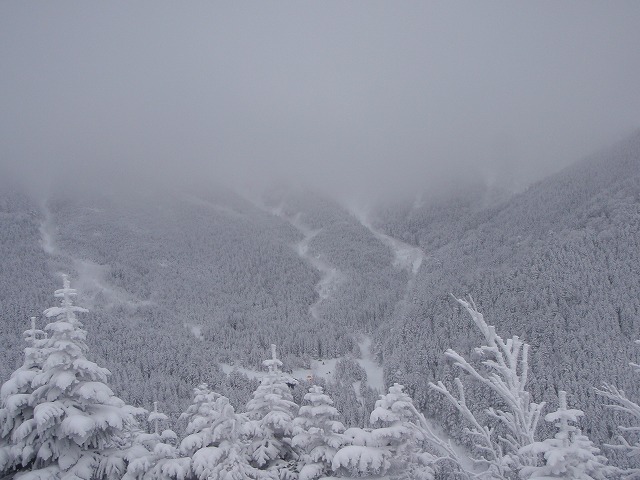 c0147398_22531568.jpg