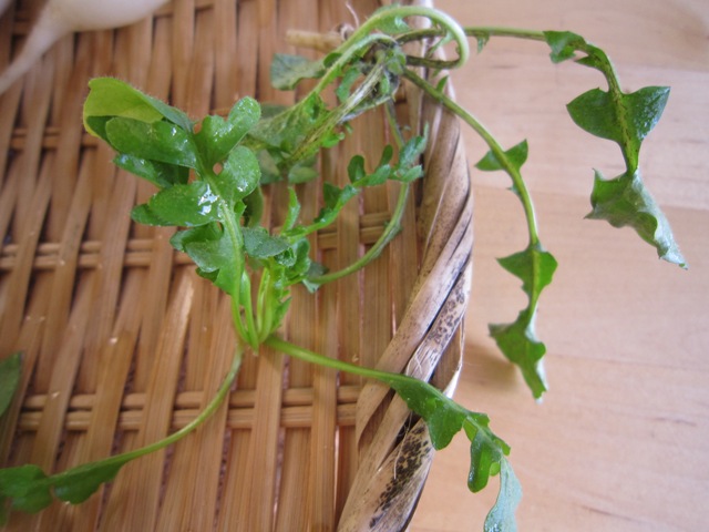 c0125702_21485014.jpg