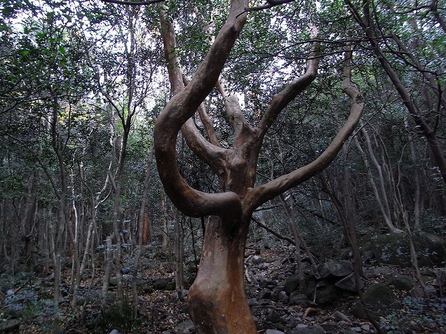 f0187402_21311551.jpg