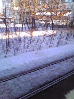 e0131904_159529.jpg