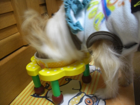 c0132205_1836321.jpg
