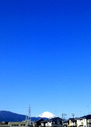 a0037414_17423177.jpg