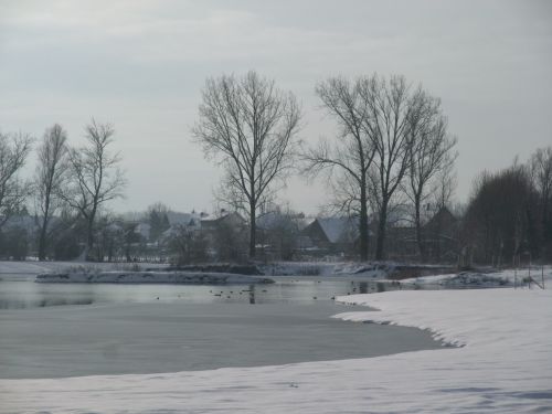 e0116315_8283441.jpg