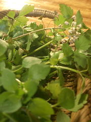 c0086221_20263989.jpg