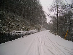 b0132522_10522373.jpg
