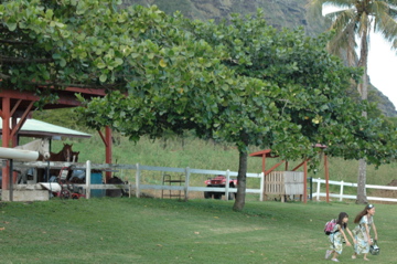 f0111031_1023896.jpg