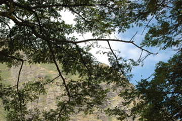 f0111031_10304336.jpg