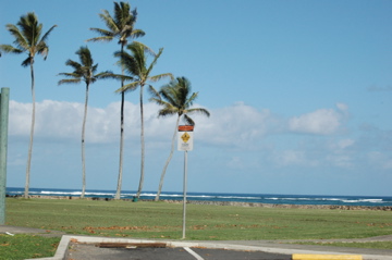 f0111031_10502769.jpg