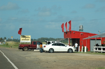 f0111031_105236.jpg